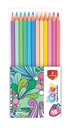 CRAYONS DE COULEUR PASTEL VERTEX 12 GM EN PVC