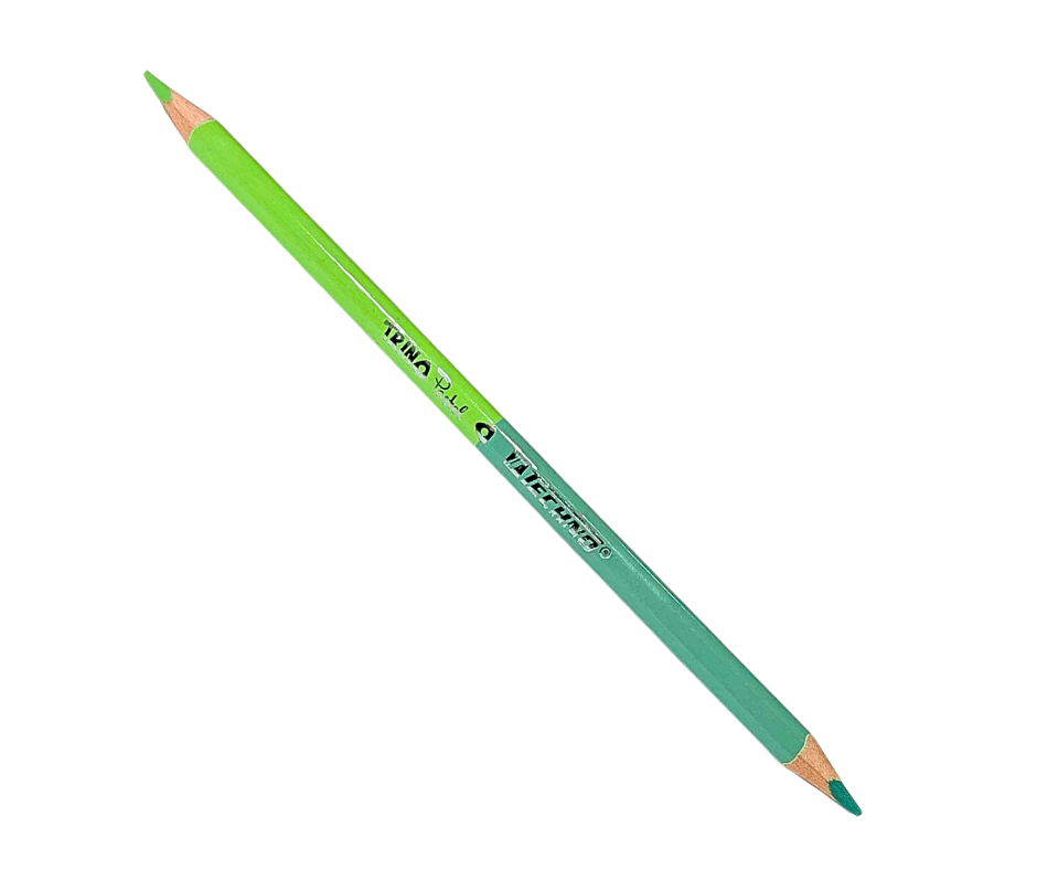 CRAYONS COULEURS TECHNO PASTEL TRINO BICOLORE 12/24