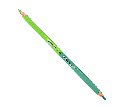 CRAYONS COULEURS TECHNO PASTEL TRINO BICOLORE 12/24