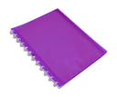 PROTEGE DOCUMENT A12 EN PP POLYVISION 20P COULEUR ELBA 100205598
