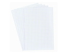 FICHE BRISTOL QUADRILLE A4 ATLAS 170G