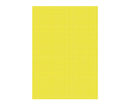 FICHE BRISTOL A4 JAUNE 170G EXCELLES