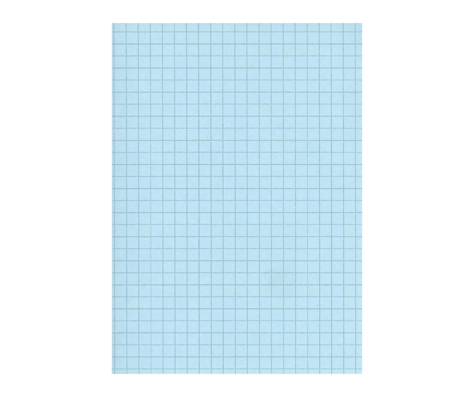 FICHE BRISTOL A4 QUADRILLEES BLEU 100F 180G EXCELLE