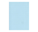 FICHE BRISTOL A4 QUADRILLEES BLEU 100F 180G EXCELLE