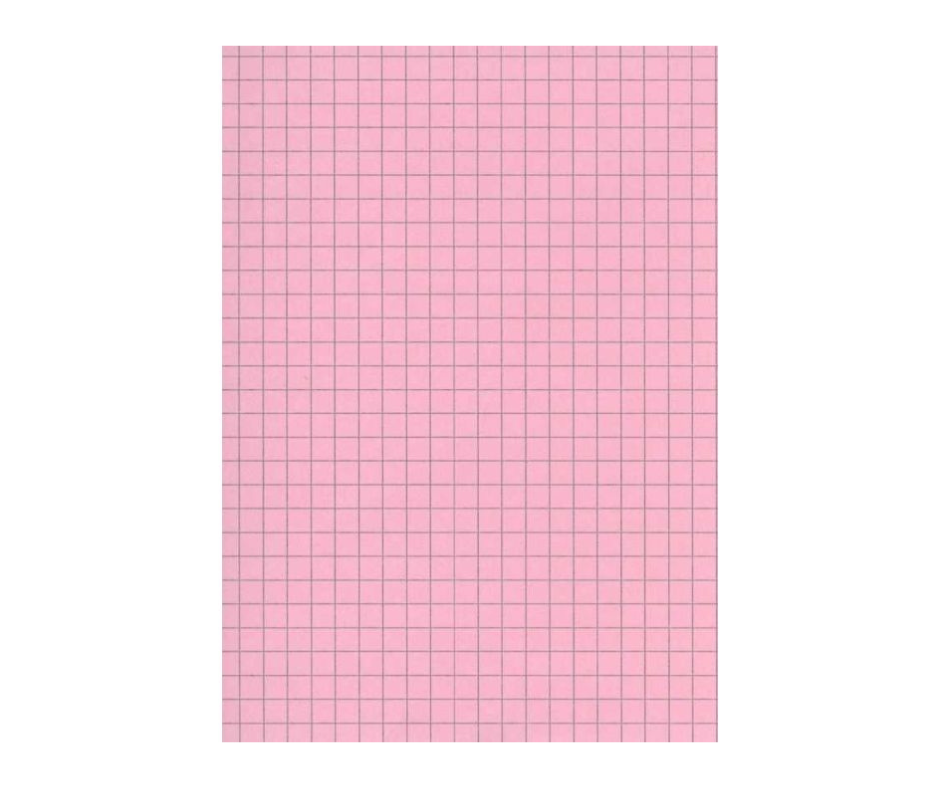FICHE BRISTOL A4 ROSE 170G EXCELLES