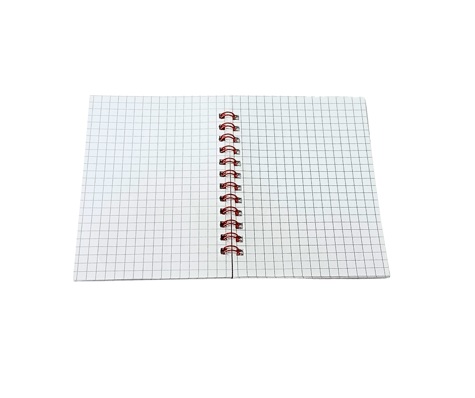PETIT CARNET SPIRAL EXCELLE EP0144