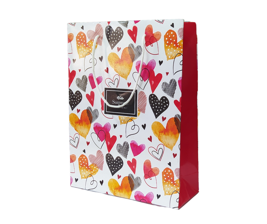 SAC CADEAUX HELLO GRAND MODEL MOTIF