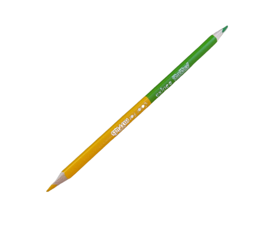 CRAYONS COULEUR EXINE DUO 12PC 01004