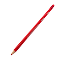 CRAYON COULEURS EXINE GM 12 PCS EFFACABLE 