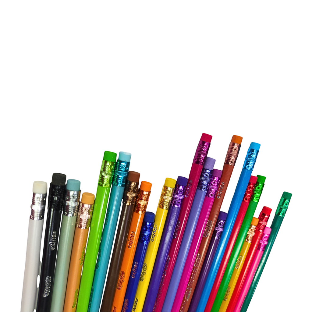 CRAYON COULEUR EXINE 24PCS EFFACABLE IS01027