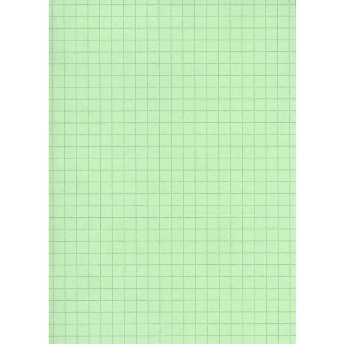 FICHE BRISTOL A4 QUADRILLÉES VERT TECHNO 100F 180G  9132