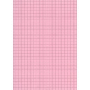 FICHE BRISTOL QUADRILLÉES A4 ROSE TECHNO 100F 180G 9130