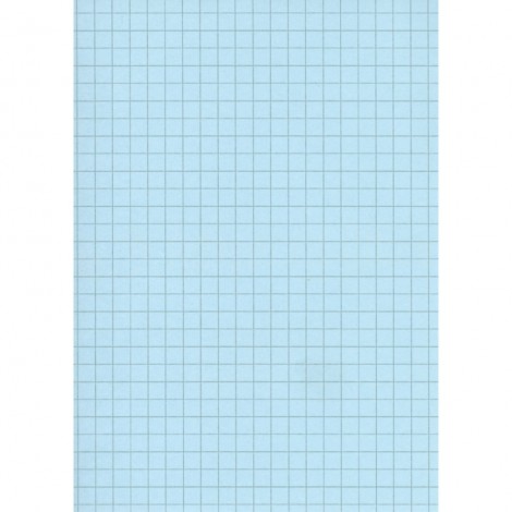 FICHE BRISTOL TECHNO A4 QUADRILLEES BLEU 100F 180GR 9131