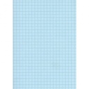FICHE BRISTOL TECHNO A4 QUADRILLEES BLEU 100F 180GR 9131