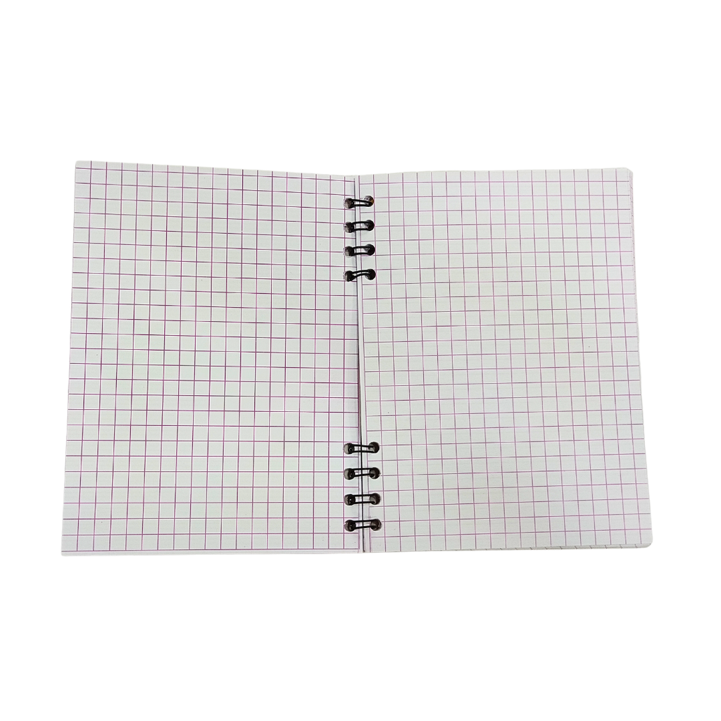 PETIT CARNET GOLDEN SPIRAL 50P GO47123