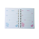 PETIT CARNET ALGO SPIRAL AL355
