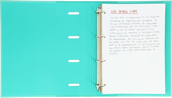 FEUILLES MOBILES DESSIN TECHNO 70 GRM TE9415