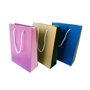 SAC POUR CADEAU UNI VERTICAL P001