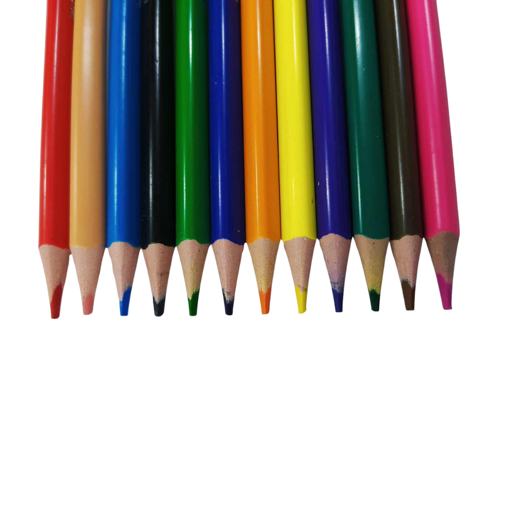 CRAYONS COULEURS EXINE EFFACABLE BOITE DE 12 PCS 