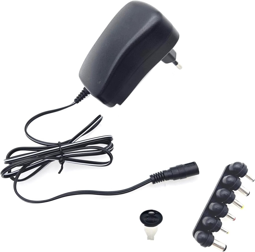 CHARGEUR STANDARD 30 W AC110-240V