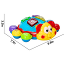 TORTUE LEARNING FUN 