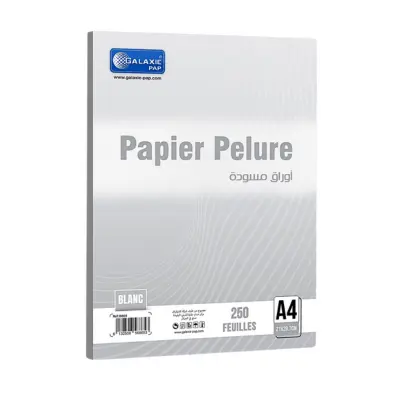 Design sans titre - 2026-02-01T135242.479.webp