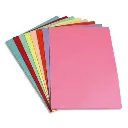 [SCHEM5] SOUS CHEMISE COULEUR -UNITÉ.webp