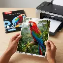 Design sans titre (78).webp