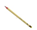 CRAYON NOIR VERTEX LE BOURGEOIS V1100