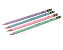 CRAYON NOIR VERTEX LE BOURGEOIS V1100