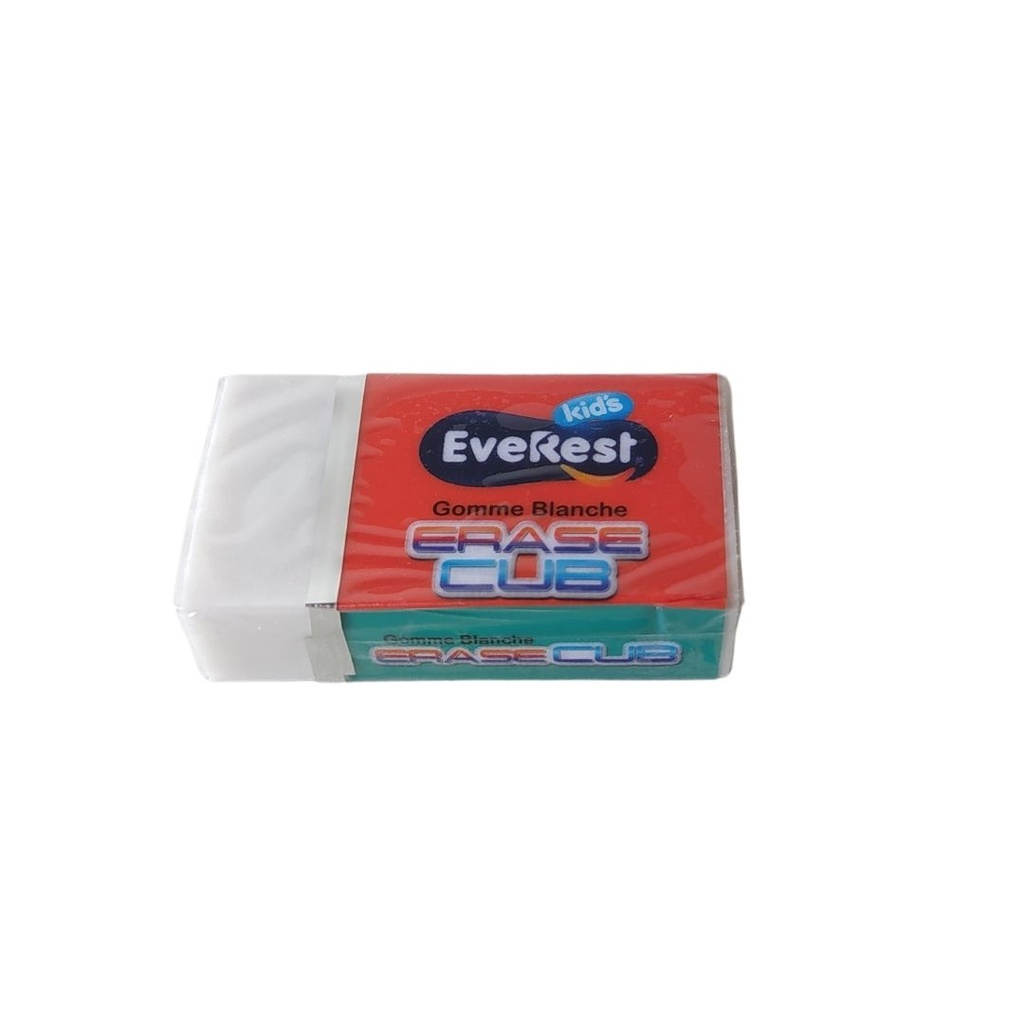 GOMME EVEREST B30 EV2541