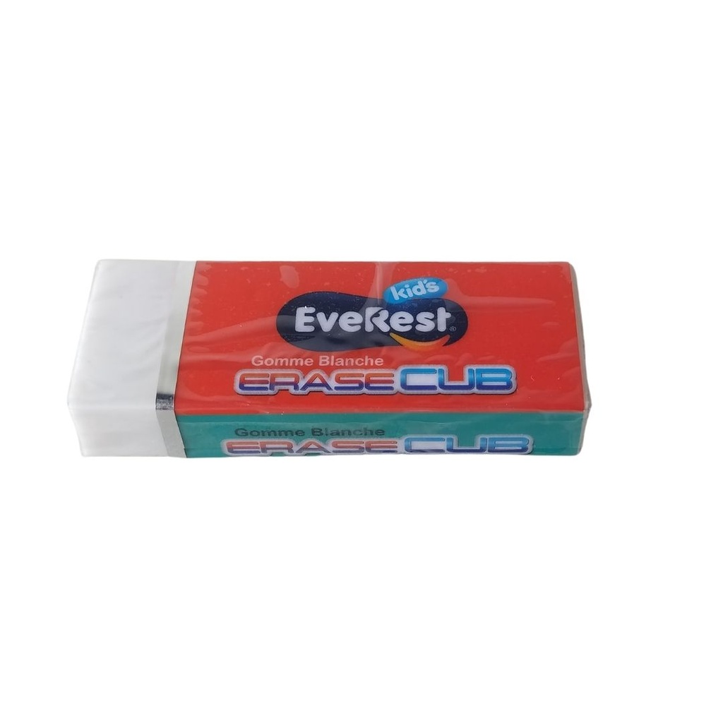 GOMME EVEREST B20 EV2540