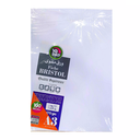 BRISTOL BLANC A3 YAPAP 170 GRM YA1388