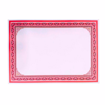 DIPLOME VIERGE /UNITÉ