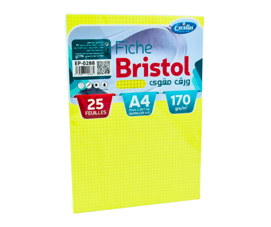 FICHE BRISTOL A4 JAUNE EXCELLES 170G
