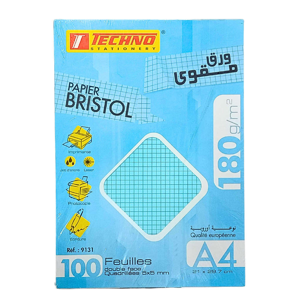 FICHE BRISTOL TECHNO A4 QUADRILLEES BLEU 100F 180GR 9131