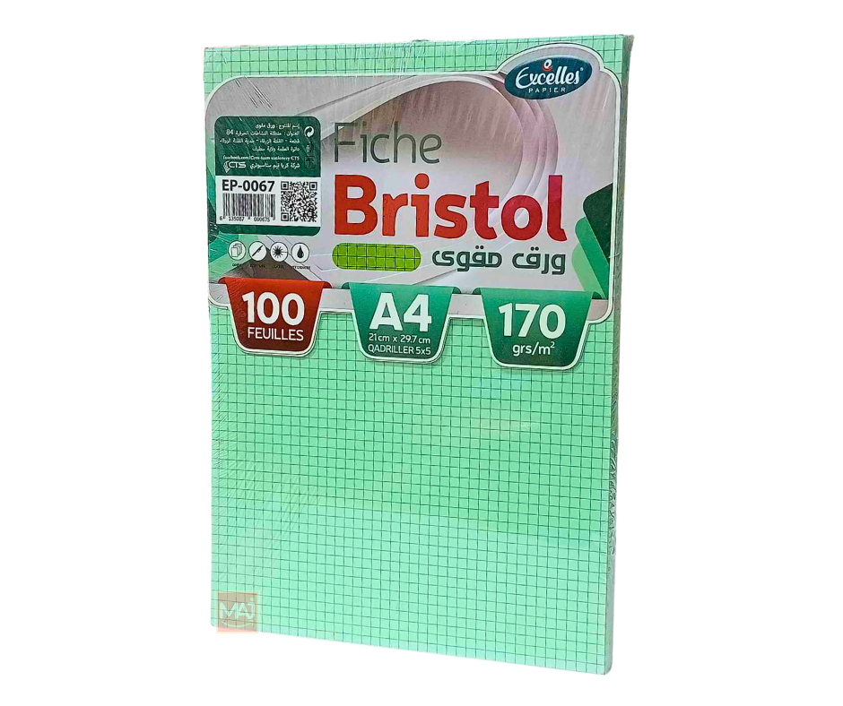 FICHE BRISTOL A4 QUADRILLEES VERT EXCELLES 100F 170G