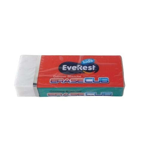 [EV2540] GOMME EVEREST B20 EV2540
