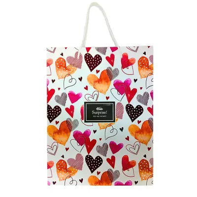 [HL070] SAC CADEAUX GM HELLO HL070