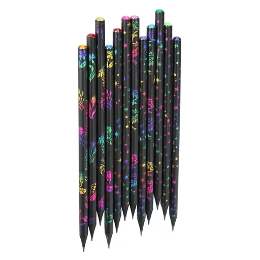 [RS01507] CRAYON NOIR RODESS RS01507