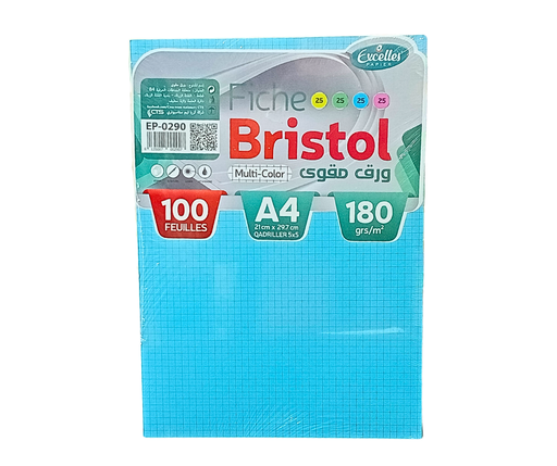 [EP0290] FICHE BRISTOL A4 MULTI COULEURS EXCELLES 180G