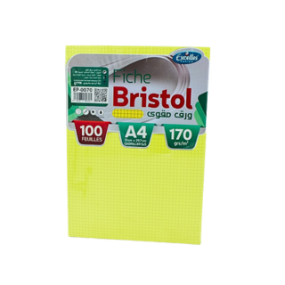 [EP0070] FICHE BRISTOL A4 QUADRILLES 100F 170G EXCELLE